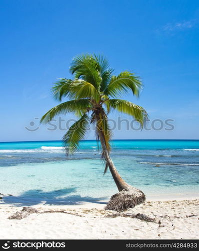 beautiful beach and tropical sea&#xA;