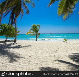 beautiful beach and tropical sea&#xA;