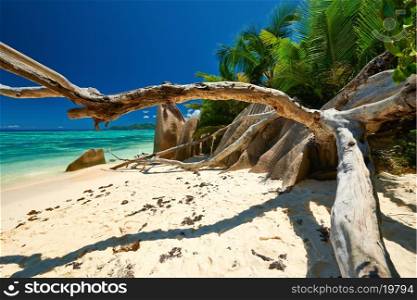 Beautiful beach at Seychelles, La Digue