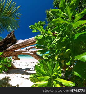 Beautiful beach at Seychelles, La Digue