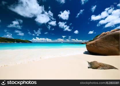 Beautiful beach at Seychelles, Praslin, Anse Lazio