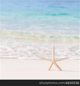 Beautiful beach background, postcard with image of sea star on clear white sandy coastline, day spa, luxury summer vacation concept&#xA;