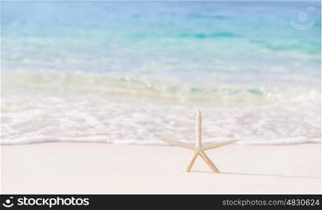 Beautiful beach background, postcard with image of sea star on clear white sandy coastline, day spa, luxury summer vacation concept