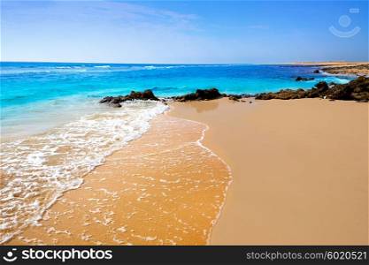beautiful beach in fuerteventura spain