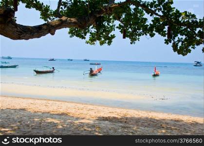 beautiful beach KOH TAO Island Surat Thani Thaland