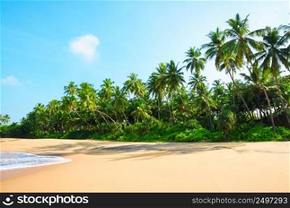 Beautiful beach on tropical island with coconut palm trees and clean sand at clear sunny summer day