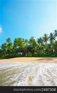 Beautiful beach on tropical island with lush green coconut palm trees and clean sand at clear sunny summer day