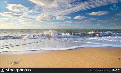Beautiful beach shore seascape. Nature composition.