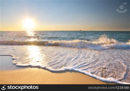 Beautiful beach shore seascape. Summer nature composition.