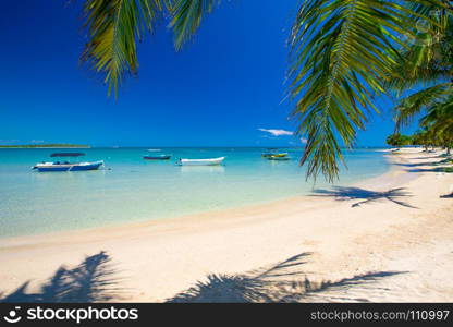 Beautiful beach. View of nice tropical beach with palms around. Holiday and vacation concept.