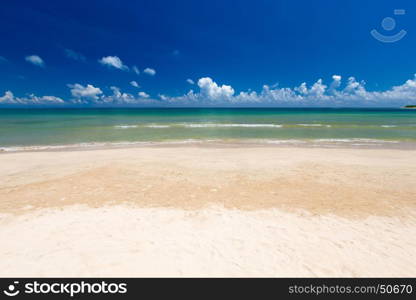 Beautiful beach. View of nice tropical beach with palms around. Holiday and vacation concept.