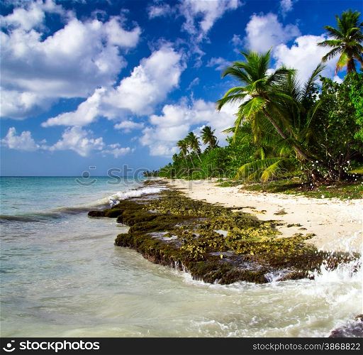 Beautiful beach with caribbean sea