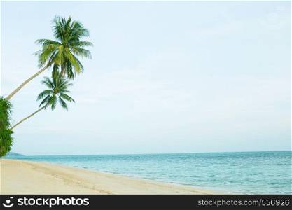 Beautiful beach with coconut palm trees. Holiday and vacation concept