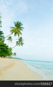 Beautiful beach with coconut palm trees. Holiday and vacation concept