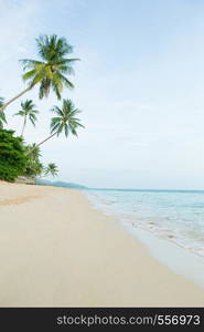 Beautiful beach with coconut palm trees. Holiday and vacation concept