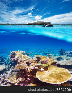 Beautiful beach with coral reef bottom underwater and above water split view