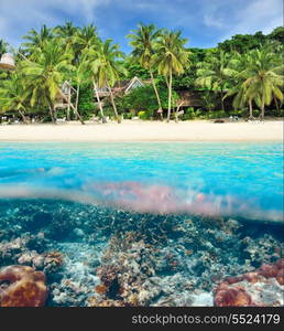 Beautiful beach with coral reef bottom underwater and above water split view