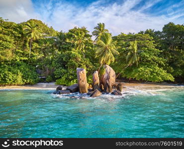 Beautiful beach with palm tree and rocks aerial top view drone shot at Seychelles, Mahe