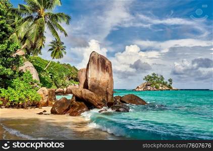 Beautiful beach with palm tree and rocks landscape at Seychelles, Mahe