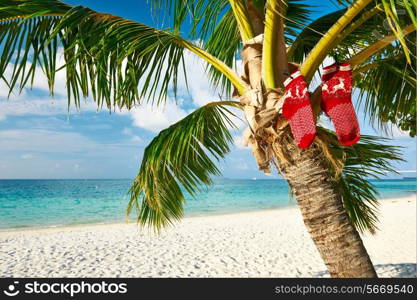 Beautiful beach with palm tree at christmas