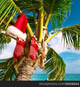 Beautiful beach with palm tree at christmas