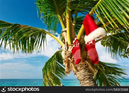 Beautiful beach with palm tree at christmas