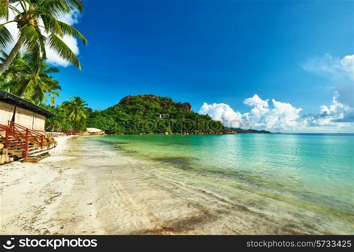 Beautiful beach with palm tree at Seychelles, Praslin, Cote d&rsquo;Or