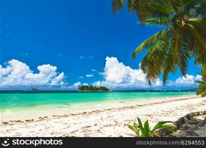 Beautiful beach with palm tree at Seychelles, Praslin, Cote d&rsquo;Or