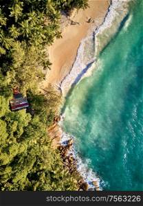 Beautiful beach with palm trees aerial top view drone shot at Seychelles, Mahe