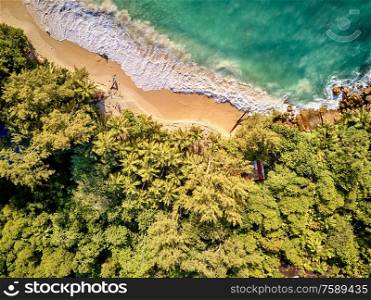 Beautiful beach with palm trees aerial top view drone shot at Seychelles, Mahe