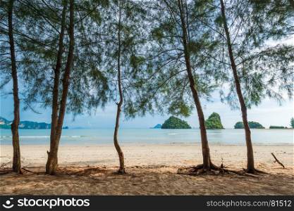 beautiful beach with trees and sea view and cliffs beautiful landscape