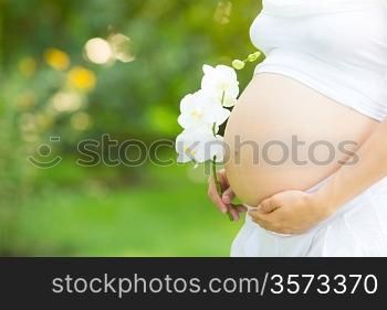 Beautiful belly of young pregnant woman against green spring background. Focus on flower, shallow depth of fields