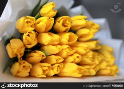 beautiful big bouquet of yellow tulips in a white package on white table and gray wall background close up. Congratulation. Festive background. copy space. beautiful big bouquet of yellow tulips in a white package on white table and gray wall background close up. Congratulation. Festive background. copy space.