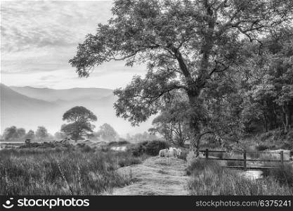 Beautiful black and white foggy misty landscape Fall sunrise over countryside surrounding Crummock Water in Lake District in England
