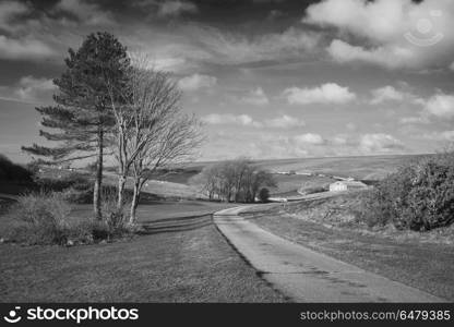 Beautiful black and white landscape image of farm and trees in W. Beautiful black and white landscape image of farm and trees in Winter sunrise light