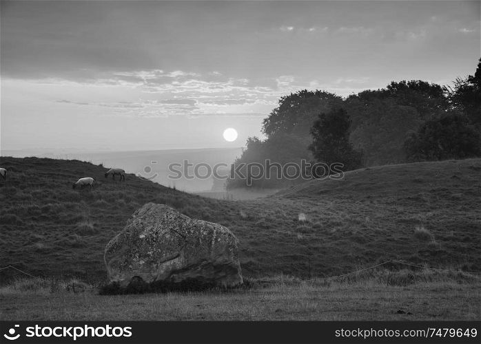 Beautiful black and white Summer sunrise landscape of Neolithic standing stones in English countryside with gorgeous light with background mist