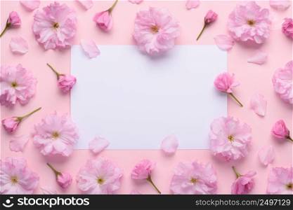 Beautiful blooming pink sakura cherry flowers pattern on pastel background with blank white space for text