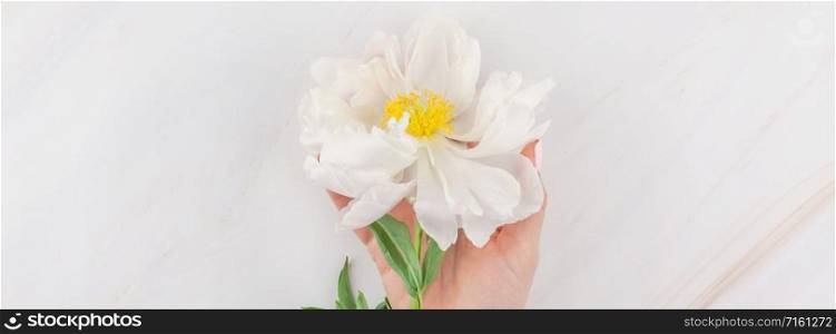 Beautiful blooming white peony flowers on marble background with copy space in minimal style, template for your design. Wedding invitation and celebration greeting concept. Long wide banner