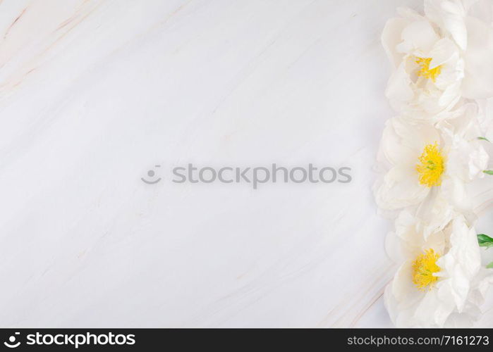 Beautiful blooming white peony flowers on marble background with copy space in minimal style, template for postcard, lettering, text or your design. Wedding invitation and celebration greeting concept