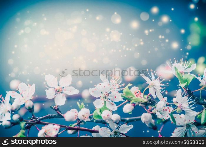 Beautiful blossom background , spring or summer nature floral border at pastel blue sky with sunny bokeh lighting