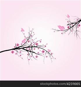 Beautiful blossom cherry and butterfly isolated on pink background