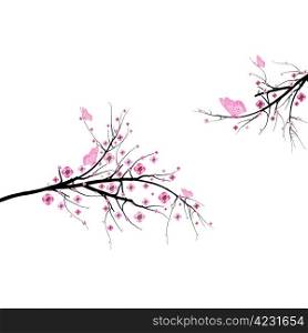 Beautiful blossom cherry and butterfly isolated on white background
