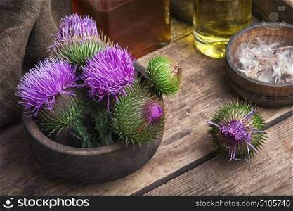 Beautiful blossoming buds thistle. Wild medicinal plant thistle on wooden background.Milk Thistle plant