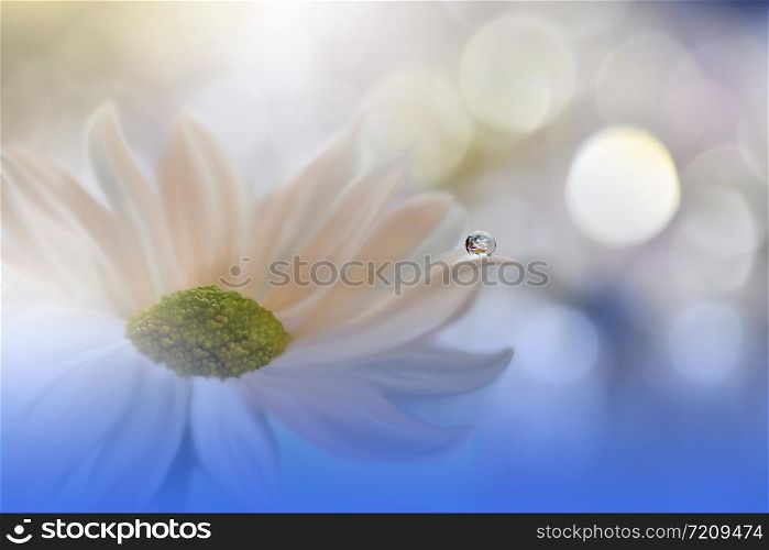 Beautiful Blue Nature Background.Floral Art Design.Soft Focus.Macro Photography.Floral abstract pastel background with copy space.Blurred space for your text.Creative Artistic Wallpaper.Blue Sky.Wedding Invitation.White Daisy Flower.
