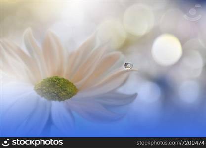 Beautiful Blue Nature Background.Floral Art Design.Soft Focus.Macro Photography.Floral abstract pastel background with copy space.Blurred space for your text.Creative Artistic Wallpaper.Blue Sky.Wedding Invitation.White Daisy Flower.