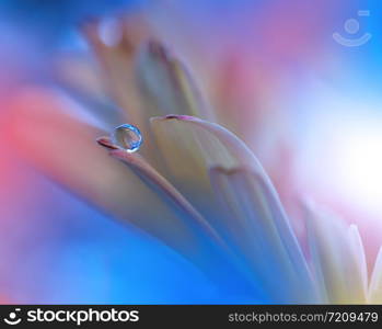Beautiful Blue Nature Background.Floral Art Design.Soft Focus.Macro Photography.Floral abstract pastel background with copy space.Blurred space for your text.Creative Artistic Wallpaper.Blue Sky.Wedding Invitation.Daisy Flower.