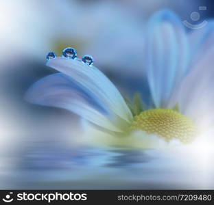 Beautiful Blue Nature Background.Floral Art Design.Soft Focus.Macro Photography.Floral abstract pastel background with copy space.Blurred space for your text.Creative Artistic Wallpaper.Blue Sky.Wedding Invitation.White Daisy Flower.