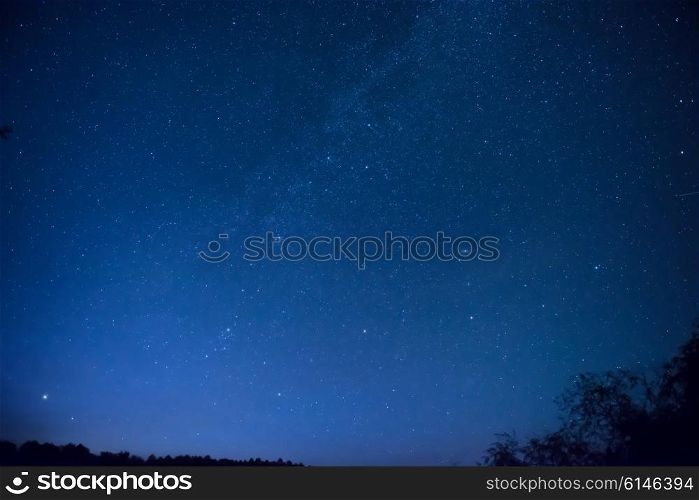 Beautiful blue night sky with many stars above the forest. Milkway space background