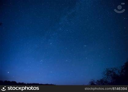 Beautiful blue night sky with many stars above the forest. Milkway space background
