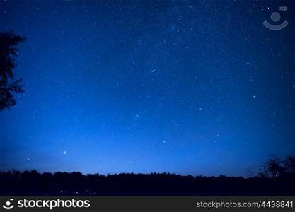 Beautiful blue night sky with many stars above the forest. Milky way space background